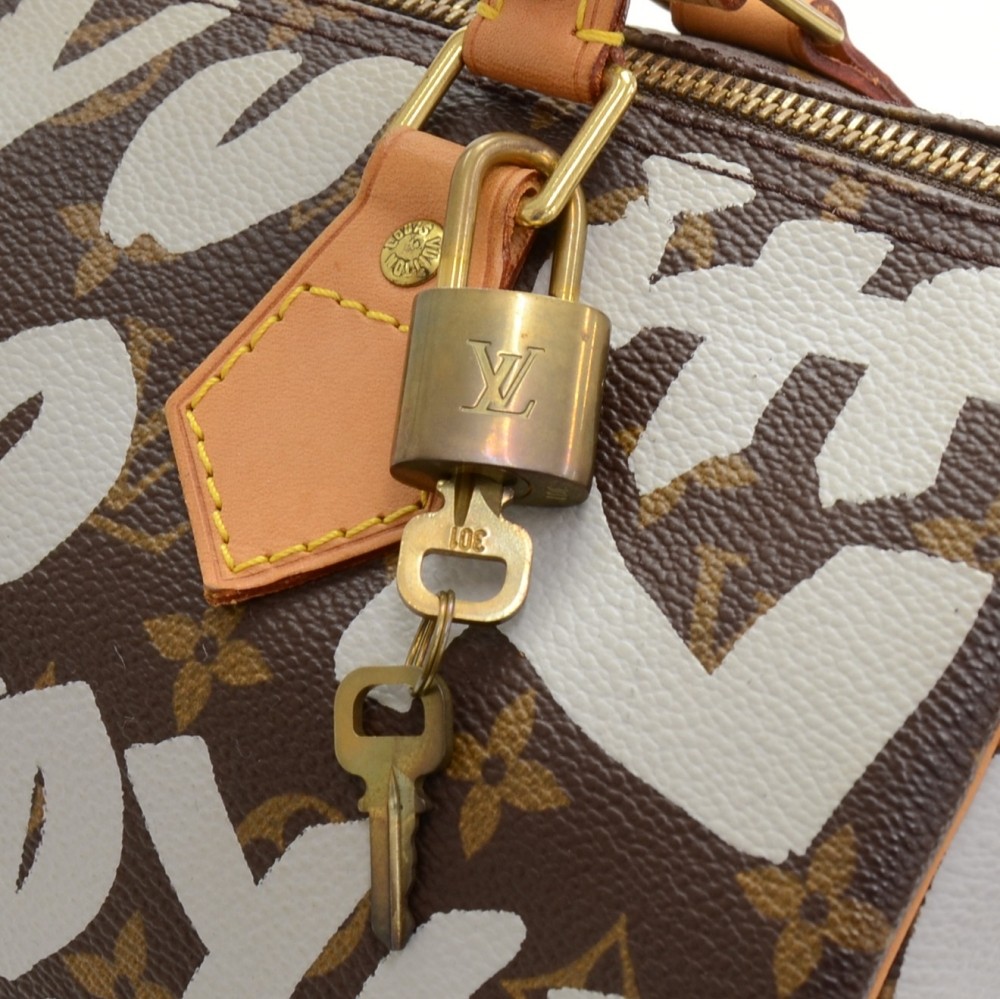 Louis Vuitton LV GHW Speedy 30 Hand Bag Monogram Graffiti Brown