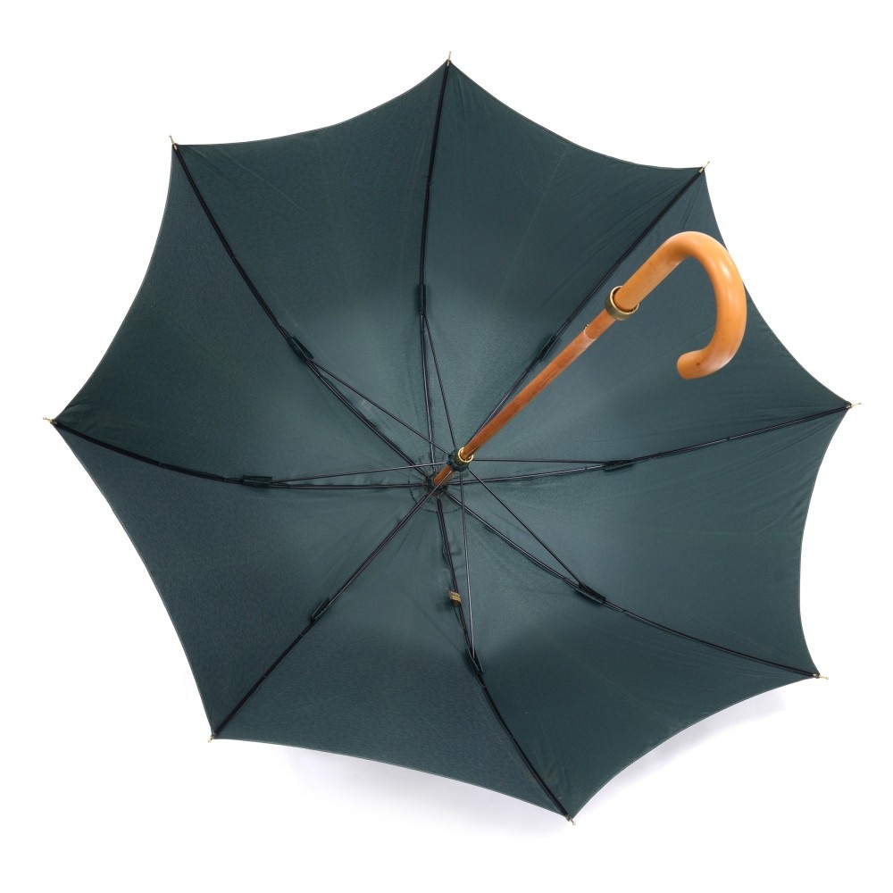 Louis Vuitton Green Umbrella 1020lv57 – Bagriculture