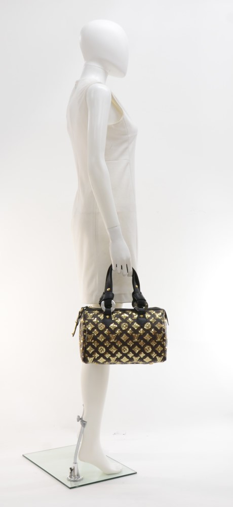 Louis Vuitton Speedy Monogram Eclipse (2009) Reference Guide – Bagaholic