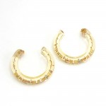 Louis Vuitton Clear x Gold Tone Monogram Inclusion Hoop Earrings