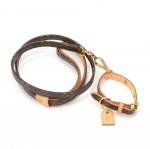 Louis Vuitton Laisse MM + Collier Baxter PM Monogram Canvas Dog Leash