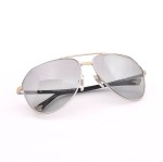 Dolce & Gabbana Sunglasses DG2094 024/6V Gray Lens