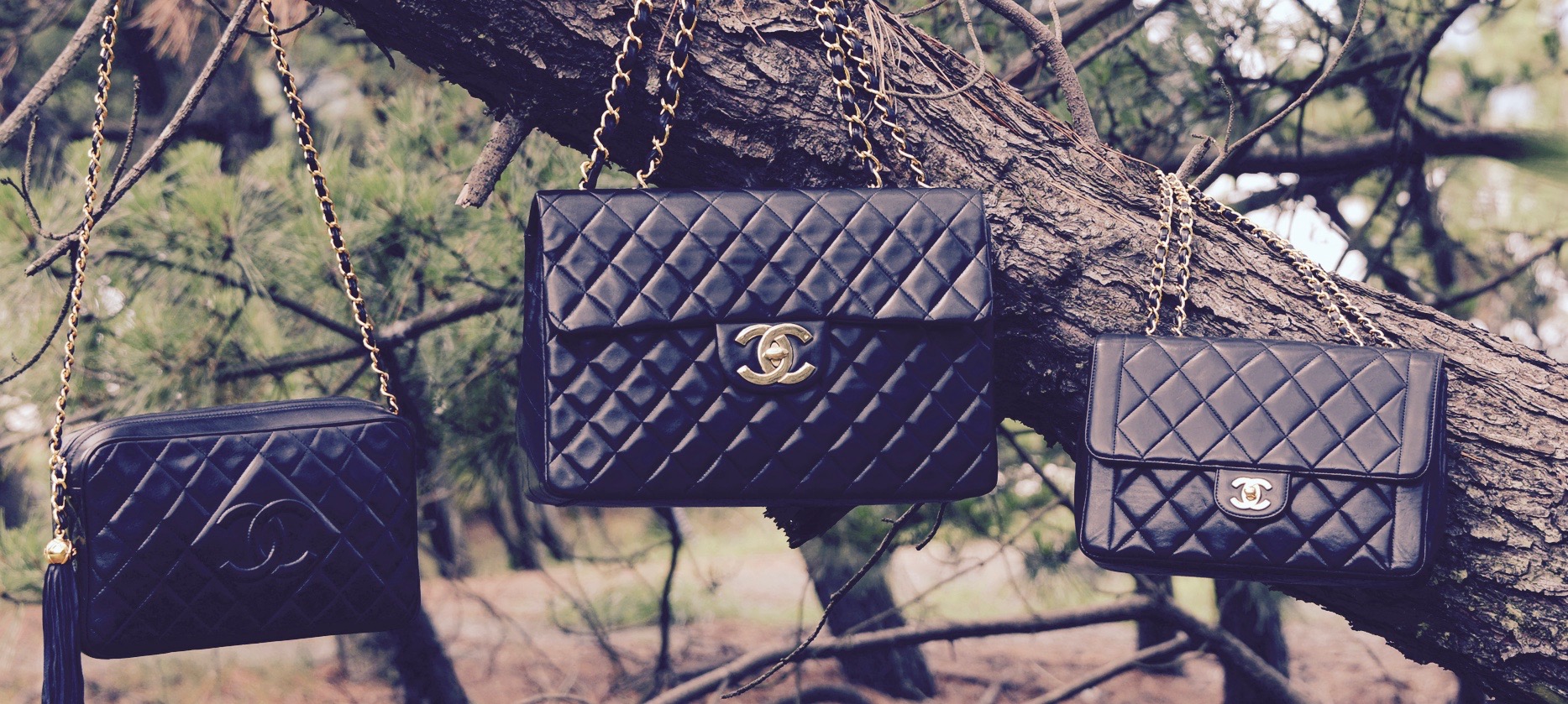 Chanel classic bags hanging on a tree